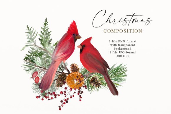 Christmas Cardinal Birds Clipart PNG: Branding Review