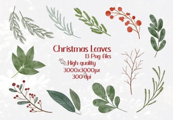 Christmas Leaves Watercolor Clipart: Branding Review