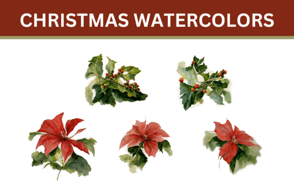 Christmas Watercolor Plants Illustrations Review
